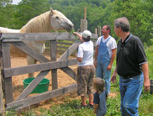 feeding_willie_draft_horse