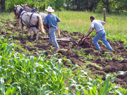 plowing_produce_garden